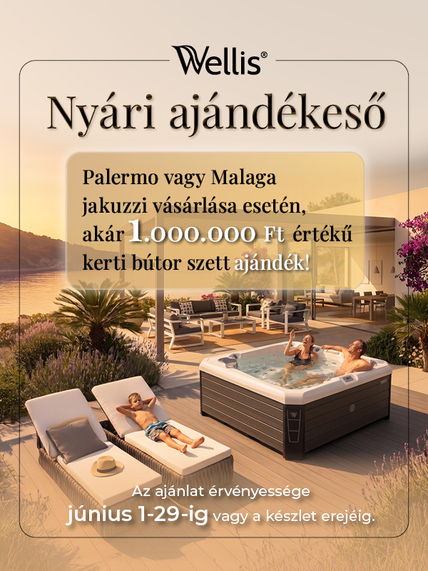 2605_Nyari_Ajandekeso_1_600 x 800